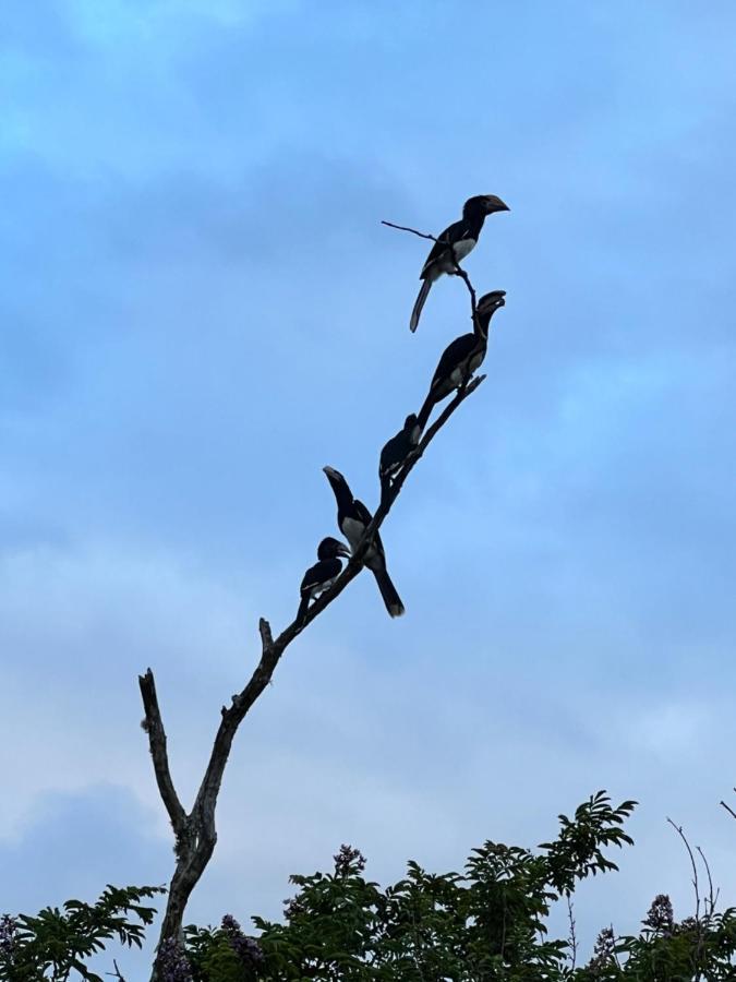 Whalesong Guest House Saint Lucia Estuary Exterior foto